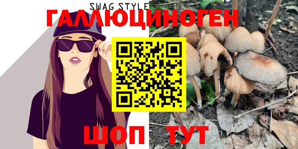 Галлюциногенные грибы Psilocybe Альметьевск