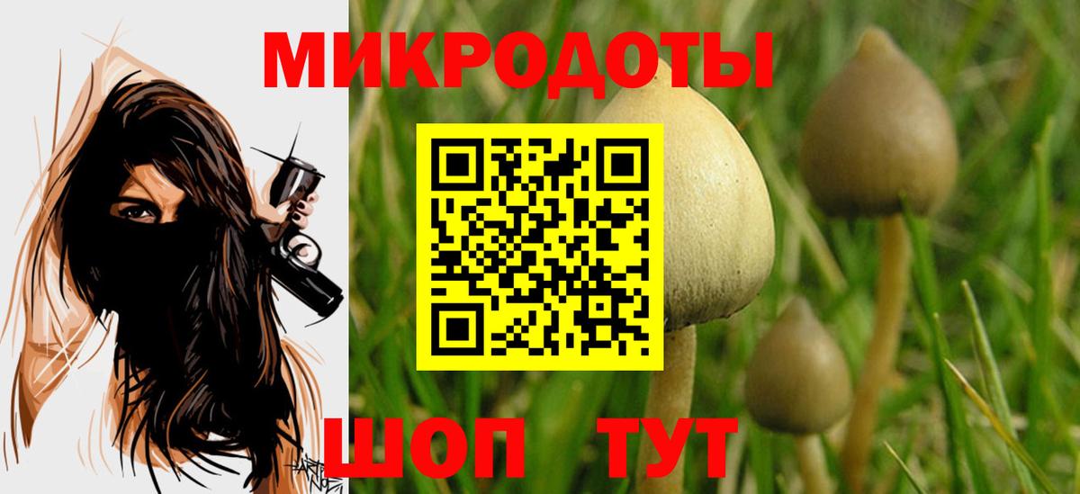 Псилоцибиновые грибы Cubensis  Вход с VPN  Альметьевск 